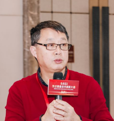 王文静